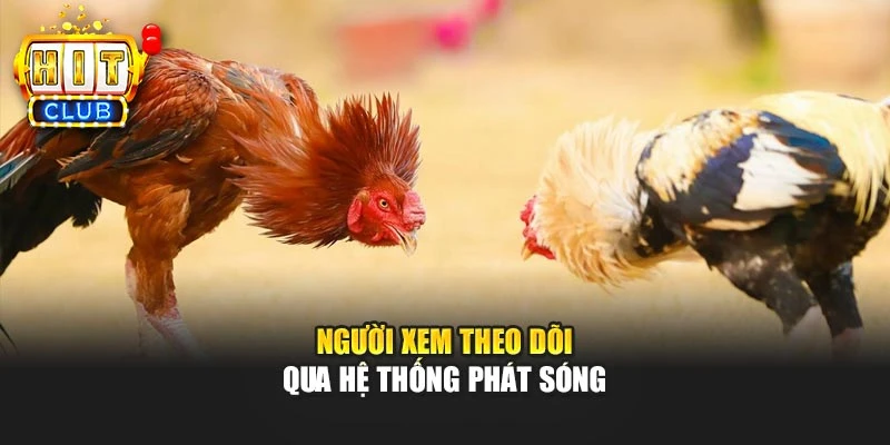 Người xem theo dõi qua hệ thống phát sóng